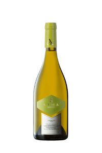 Cima Mazacruz Blanco 2019