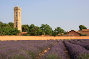 torre lavanda